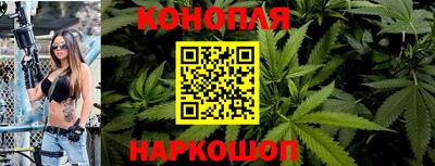 ALPHA PVP Ачхой-Мартан