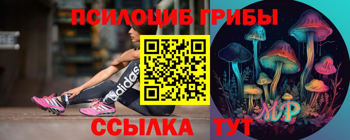 Галлюциногенные грибы мицелий Лысьва